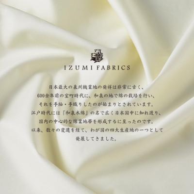 ふるさと納税 和泉市 (43×63cm)ハンガリー産ホワイトグース ダウンピロー(羽毛まくら)　ダウン93% |  | 02