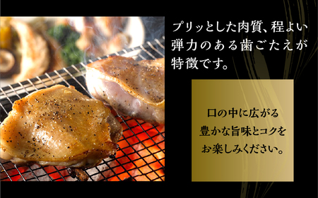 名古屋コーチン正肉セット770g ／ 鶏肉セット 鶏肉