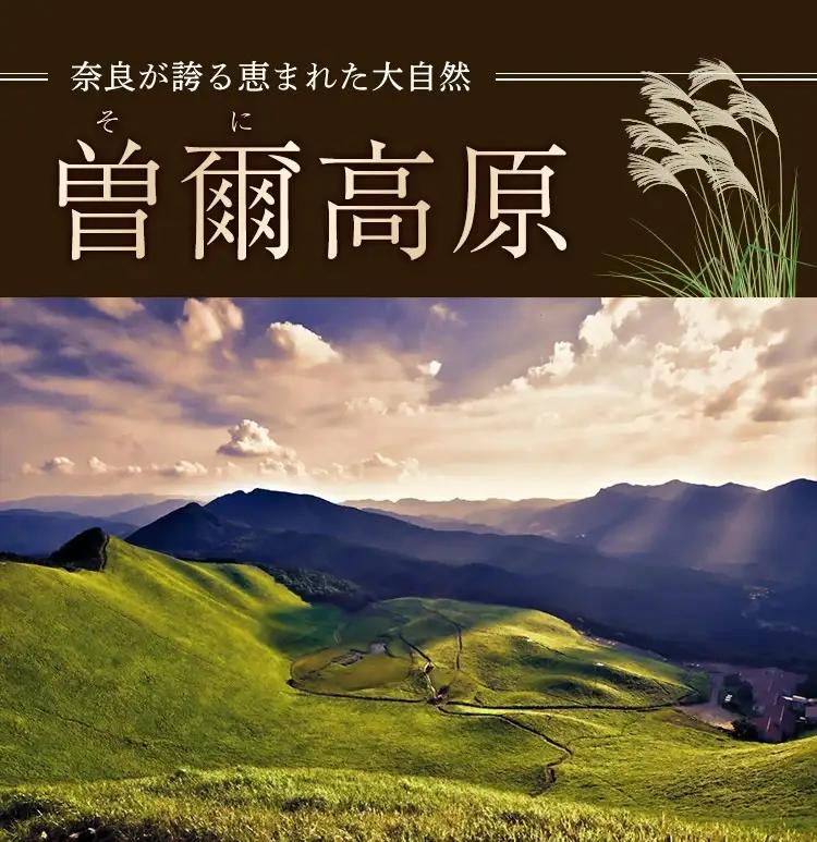 ラスク詰合せ 米粉 ラスク 食べ比べ / オリジナル米粉ラスク詰め合わせ