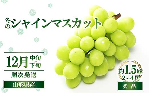 【令和8年産先行予約】 JA 冬のシャインマスカット 約1.5kg (2～4房 秀) 《令和8年12月中旬～下旬発送》 『JA山形おきたま』 マスカット ぶどう 果物 山形県 南陽市 [821-R8]