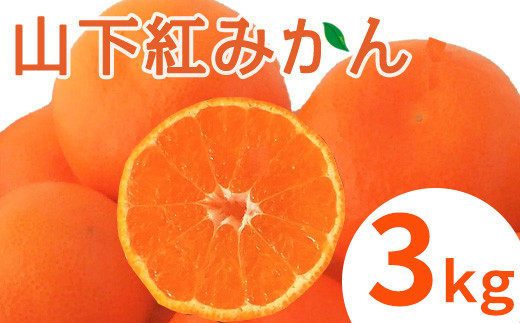
                  山下紅みかん(ハウス栽培) 唐津産 3kg
                