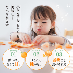 【先行予約・数量限定】 地元で大人気の 秀品 せとか 3kg 【M～2Lサイズ混合】【2027年3月中旬から2027年3月下旬頃に順次発送】〈味好農園〉 /ミカン 蜜柑 柑橘 フルーツ くだもの 果物