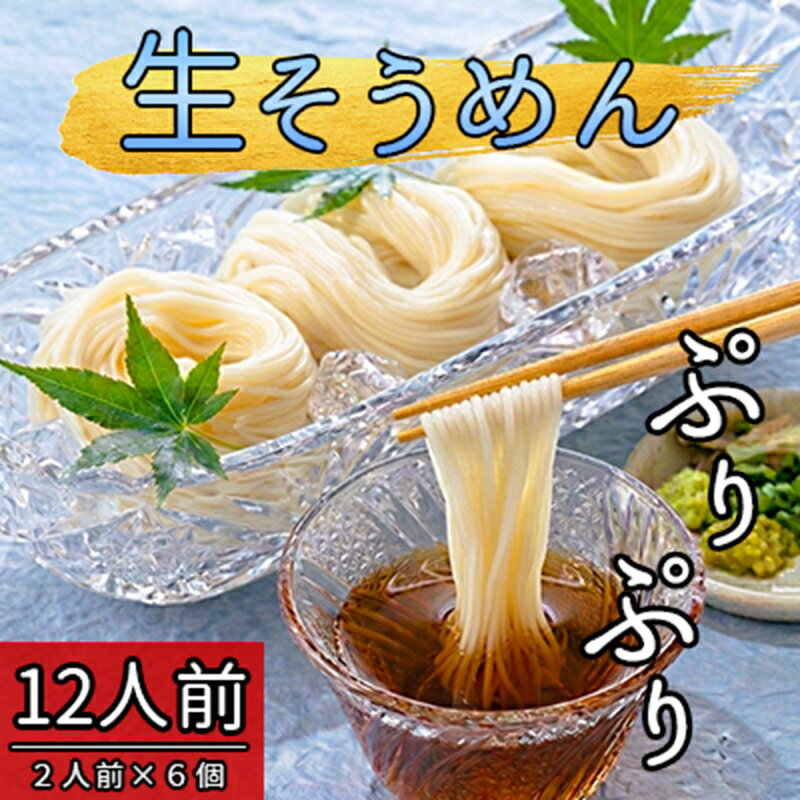 【ふるさと納税】稀少 生そうめん 2人前×6個 乾燥していない「生」のそうめん 本格生麺 そうめん 素麺 つるつる ぷりぷり 新食感
