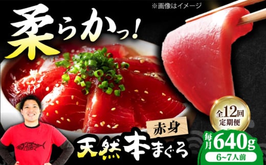 【全12回定期便】極上！たね熟天然本まぐろ赤身(640g) 天然 マグロ 鮪 赤身 刺身 魚 魚介 魚介類 海鮮丼 本マグロ 本まぐろ 本鮪 赤身 大トロ 冷凍 お刺身 お寿司 大阪府高槻市/本まぐろ直売所 [AOCE018] 本マグロ 刺身 寿司 海鮮 旨み 切り身 鮮度抜群 海鮮丼 お取り寄せ 高級魚 ギフト 贈答用 海の幸 家飲み ごちそう おつまみ 炙り丼 手巻き寿司 お祝い パーティー