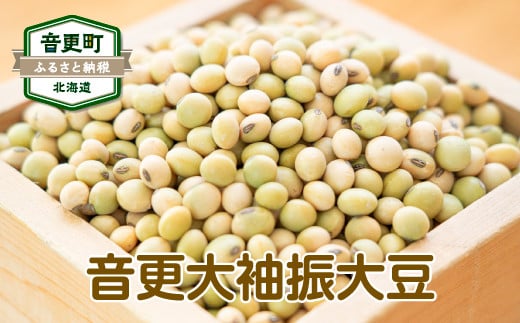 ［先行受付］令和6年産 音更大袖振大豆500g「JAおとふけ」【B38】＜2024年12月下旬より順次発送＞