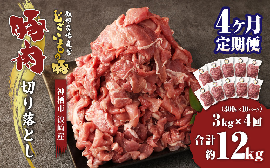 
【4ヶ月定期便】 豚肉 切り落とし 約3kg(約300g×10パック)×4回 合計 約12kg 豚 肉 じごいもの豚 定期便 茨城県 神栖市
