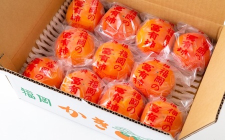 【先行予約】伊藤園 冷蔵富有柿 （2Lサイズ） 9玉～11玉 約3kg 【2025年12月中旬から12月下旬出荷予定】 ／ 富有柿 柿 果物 フルーツ くだもの うきは市
