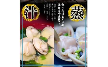 鹿島だこ 鹿島灘はまぐり セット 3～5人前相当 たこ はまぐり