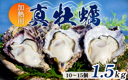 殻付き牡蠣 1.5kg前後 （10～15個） 加熱調理用 カキ 海産物 生かき 活牡蠣 育成 養殖 京都府 舞鶴市 青井育成会