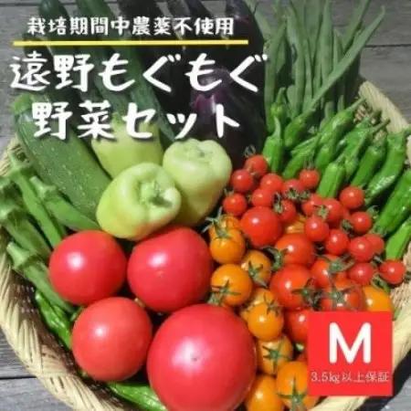 夏野菜セット 10種 Mサイズ 栽培期間中農薬不使用 岩手県 遠野市 遠野もぐもぐカントリー【配送不可地域：離島】【1634884】