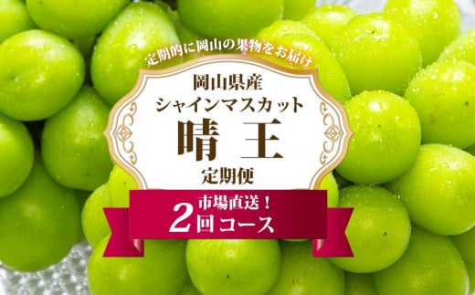 
            ぶどう 定期便 2025年 先行予約 シャイン マスカット 晴王 各月2房（1房600g以上） 2回コース マスカット ブドウ 葡萄  岡山県産 国産 フルーツ 果物 ギフト
          