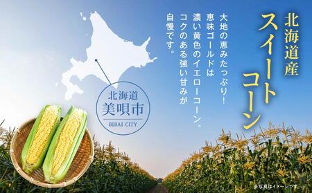 【先行予約】【数量限定】北海道産スイートコーン　１０本入　