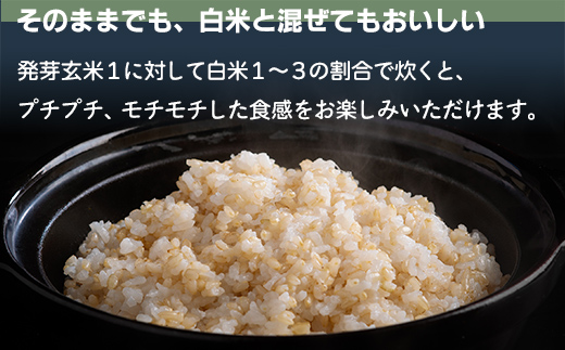 北海道米の発芽玄米「ななつぼし・ゆめぴりか」食べ比べセット（500g×2種×5セット)計5kg MKWAH011