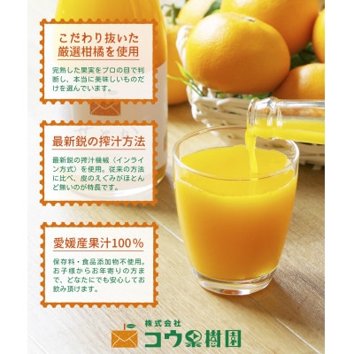 【発送月固定定期便】コウ果樹園の旬の柑橘定期便(11月−10月)【H33−41】全12回【4052190】