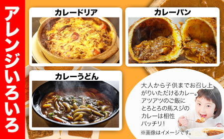 たっぷり！馬スジカレー 10食セット《60日以内に出荷予定(土日祝除く)》馬スジ カレー お肉 馬すじ カレーライス 馬肉 贈答 ギフト グルメ お取り寄せ 熊本県 津奈木町 送料無料 個包装 大人気