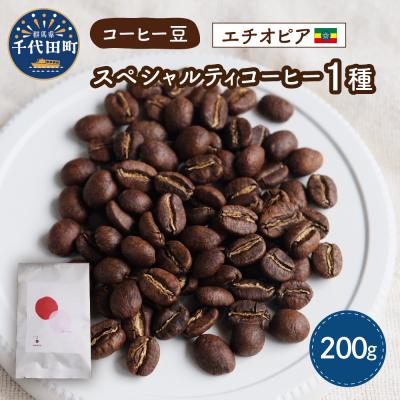 ふるさと納税 千代田町 エチオピア産 コーヒー豆 1種 (200g) ch029-002-er