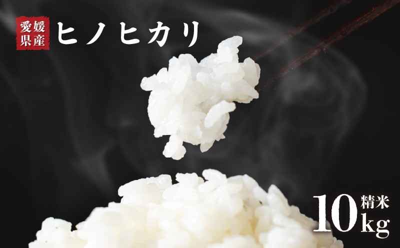
                  米 ヒノヒカリ 精米 10kg 未検査米 【先行予約 2026年10月下旬から順次発送米】 | 国内産 ひのひかり ヒノヒカリ 未検査米 白米 お米 こめ お米 愛媛県 松前町 松前 まさき 愛媛 えひめ おこめ 愛媛県産米 松前町産米 美味しいお米 お米 贈答 贈り物 愛媛県 松前町 松前町おすすめ
                