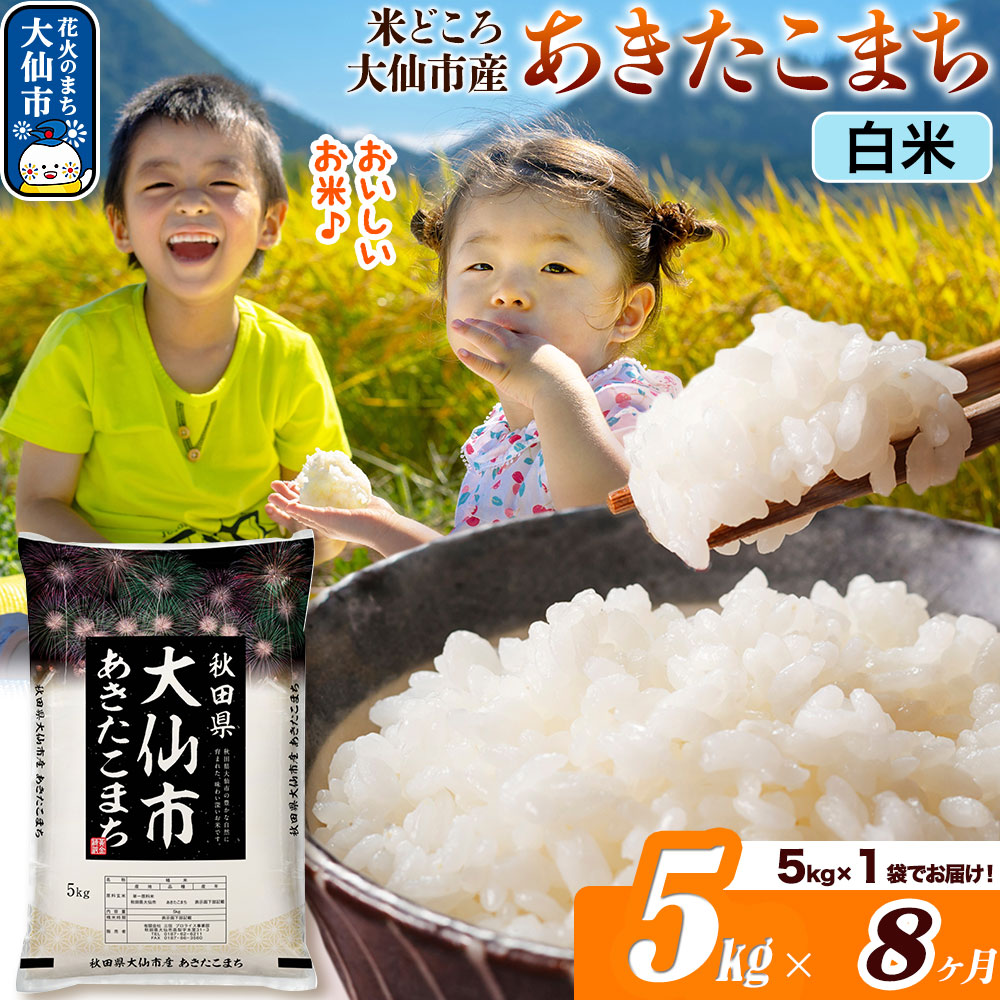 米《定期便8ヶ月》あきたこまち【白米】 米どころ秋田県大仙市産 令和7年産 精米 5kg（5kg×1袋）
