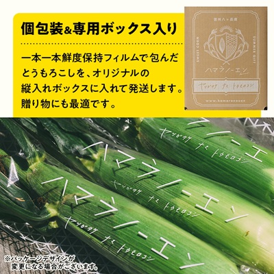 　【先行予約】朝採れ 八ヶ岳生とうもろこし 10本〈2026年7月下旬～9月下旬発送予定〉【配送不可地域：離島】