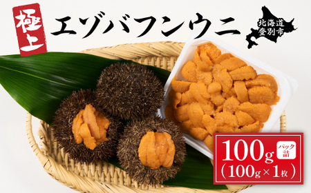 極上 エゾバフンウニ 100g（パック詰） ≪配送期間B≫10月下旬～11月下旬迄【ウニ ｳﾆ うに 雲丹 ｴｿﾞﾊﾞﾌﾝｳﾆ エゾバフンウニ バフンウニ ﾊﾞﾌﾝｳﾆ 塩水 塩水パック パック詰 パック 折詰 無添加】 
