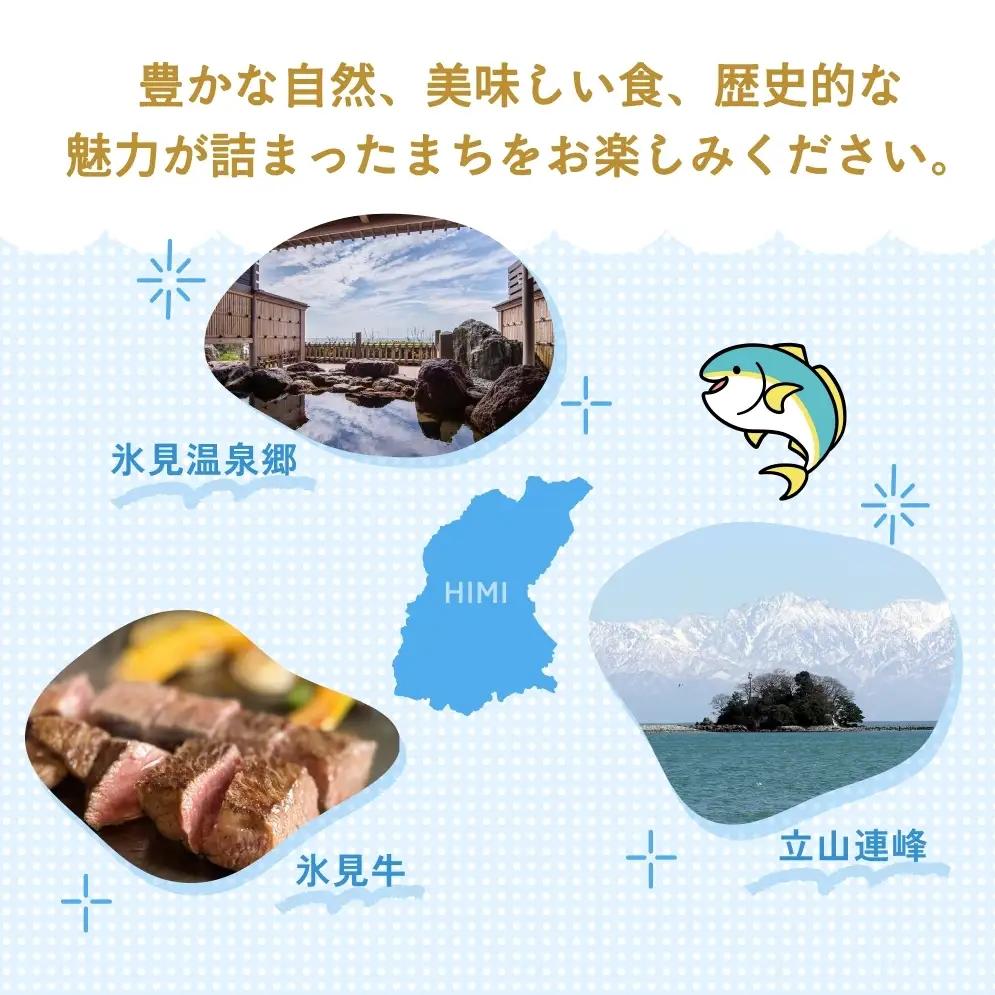 氷見市内ふるさと感謝券（宿泊・飲食） 10,000円分 観光 旅行 飲食 ランチ ディナー 食事  温泉 宿 民宿 旅 食体験 グルメ 富山県 氷見市