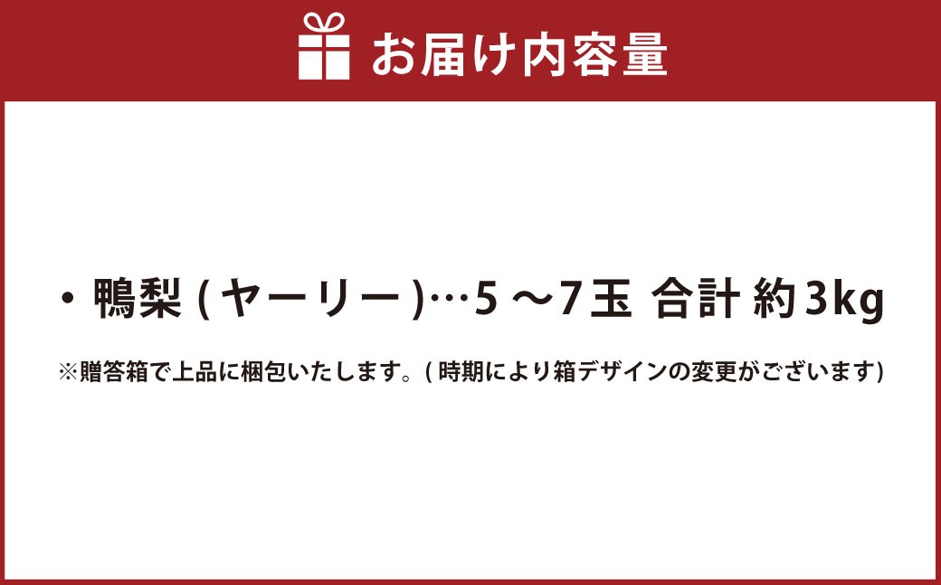 鴨梨 （ヤーリー） 5～7玉 約3kg 贈答箱