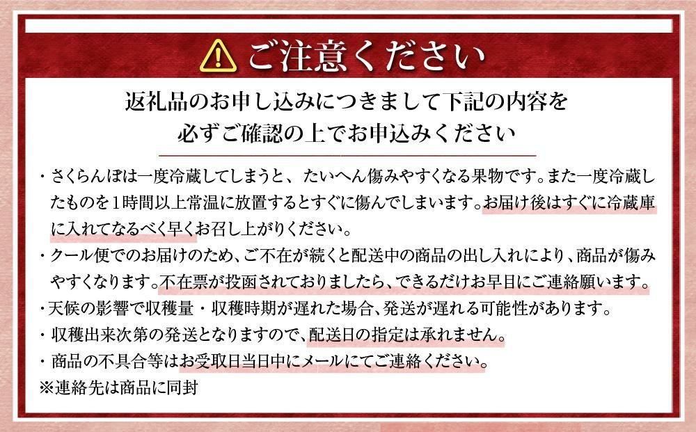 【先行予約】農家直送！ 品種お任せ  Lサイズ バラ詰め1kg（500g×2パック）（2026年6月末から発送開始予定）水澤果樹園 【 さくらんぼ サクランボ 果物 くだもの フルーツ デザート 旬 