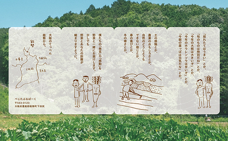 【大阪能勢産】 《農家直送》 べじたぶるぱーくの旬の新鮮野菜詰合せ Mセット (7～8種類)