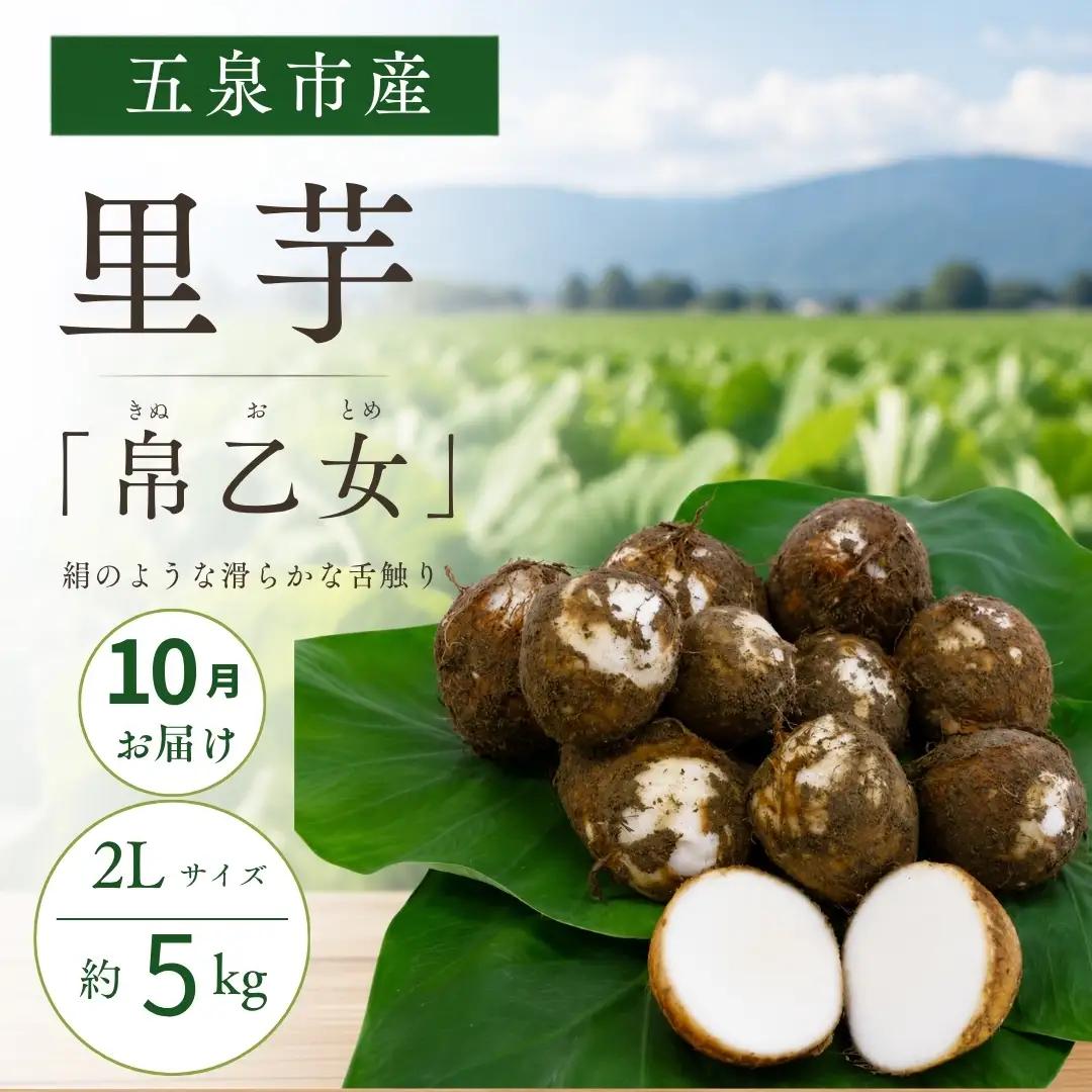 【10月中にお届け】さといも（帛乙女）小玉サイズ・5kg 五泉園芸組織連絡協議会 | 新潟県 五泉市 さといも サトイモ 野菜 帛乙女