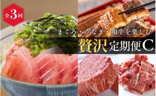 
            【全3回】まぐろ・うなぎ・和牛を楽しむ贅沢定期便C / 鮪 マグロ 刺身 たたき 鰻 ウナギ 蒲焼き 熊野牛 肉 牛肉 和牛 黒毛和牛 ヒレ シャトーブリアン ステーキ 赤身 こま切れ 【tkb388】
          