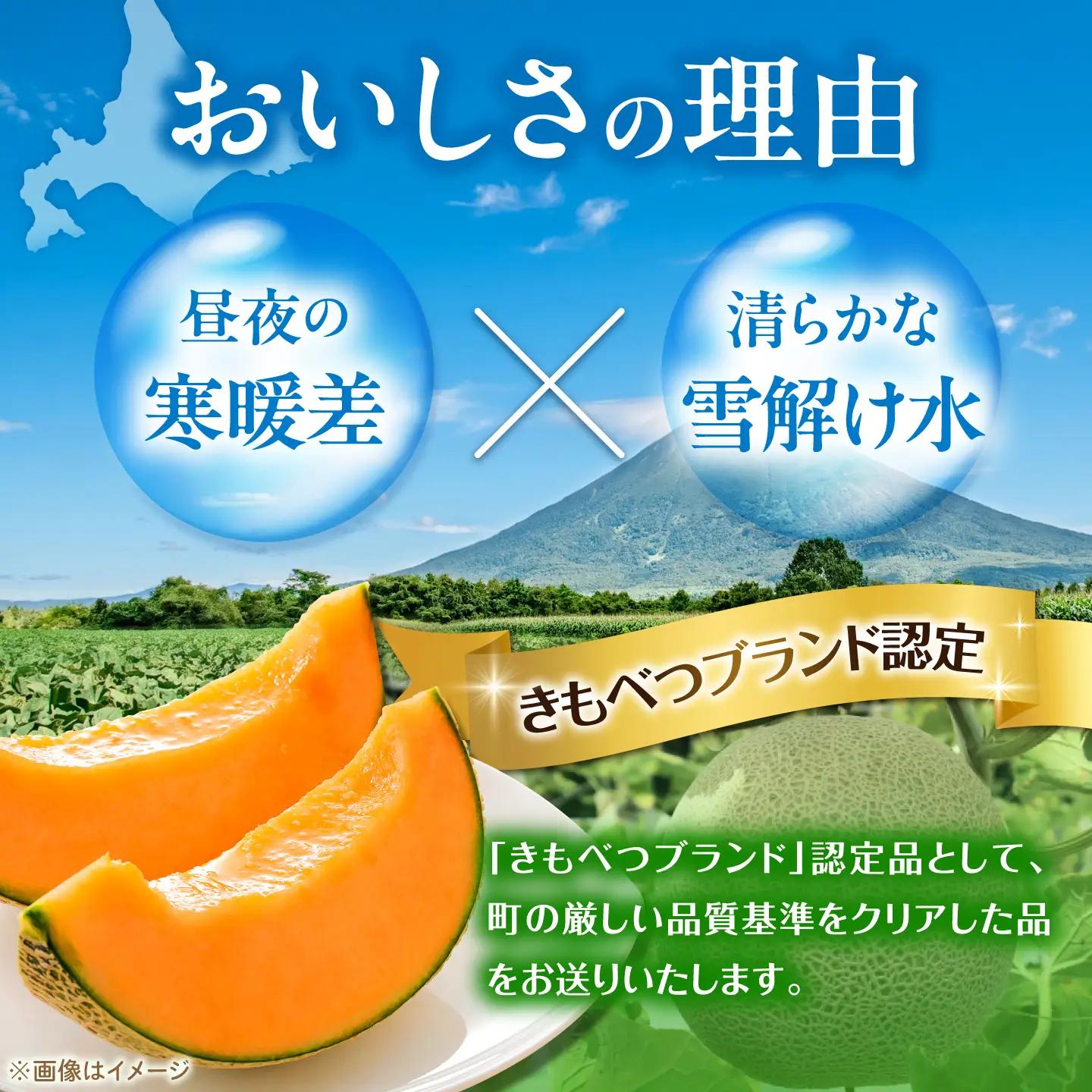 【先行予約】メロン キングルビー 2玉（2.4kg以上/玉） メロン AJAY003