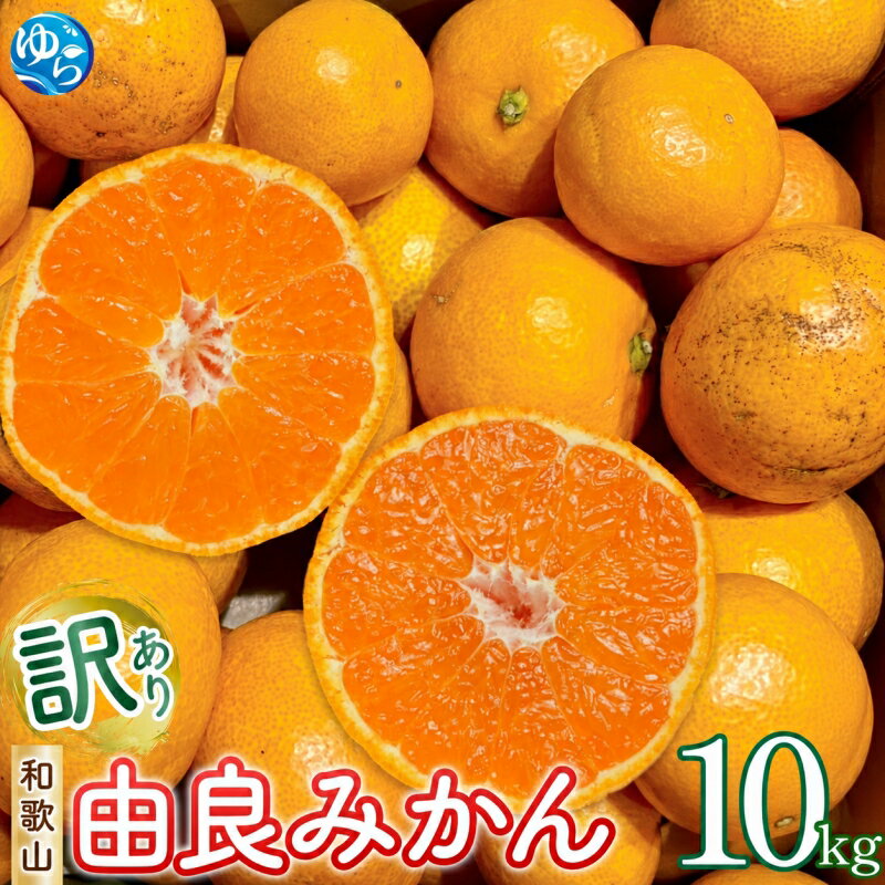 【ふるさと納税】 和歌山 由良 みかん 10kg 訳あり キズ 家庭用 サイズ混合 / ミカン フルーツ 果物 柑橘 ※2026年11月下旬～2027年1月上旬頃順次発送予定 ※北海道・沖縄・離島への配送不可