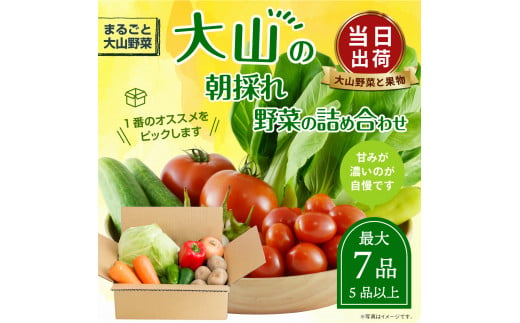 
MS-01　新鮮朝採れ野菜　お手ごろセット
