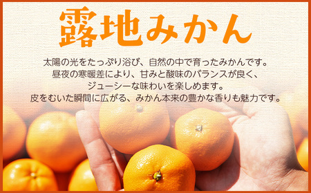 【２回定期便】露地みかん(2S～Mサイズ) 5kg 家庭用 訳ありみかん Wom-0008