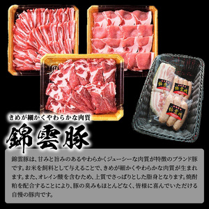 【ブランド豚肉】お米育ちの錦雲豚ギフト（焼肉用1kg）とハム類のセット_FN0401