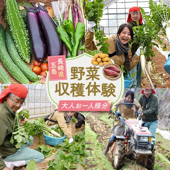 【ふるさと納税】旬野菜の収穫体験 お土産の特典付　大人1人分　五島市/株式会社五島のやぁしゃ便[PBG006]