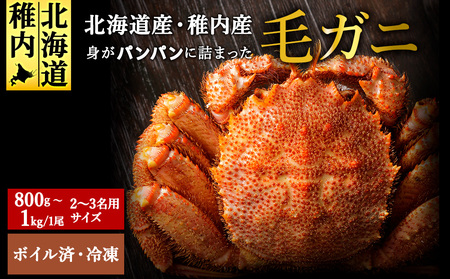 【ボイル済み急速冷凍】身がパンパンに詰まった稚内産毛ガニ900ｇ～1kg(超大サイズ)×1尾【配送不可地域：離島・沖縄県】