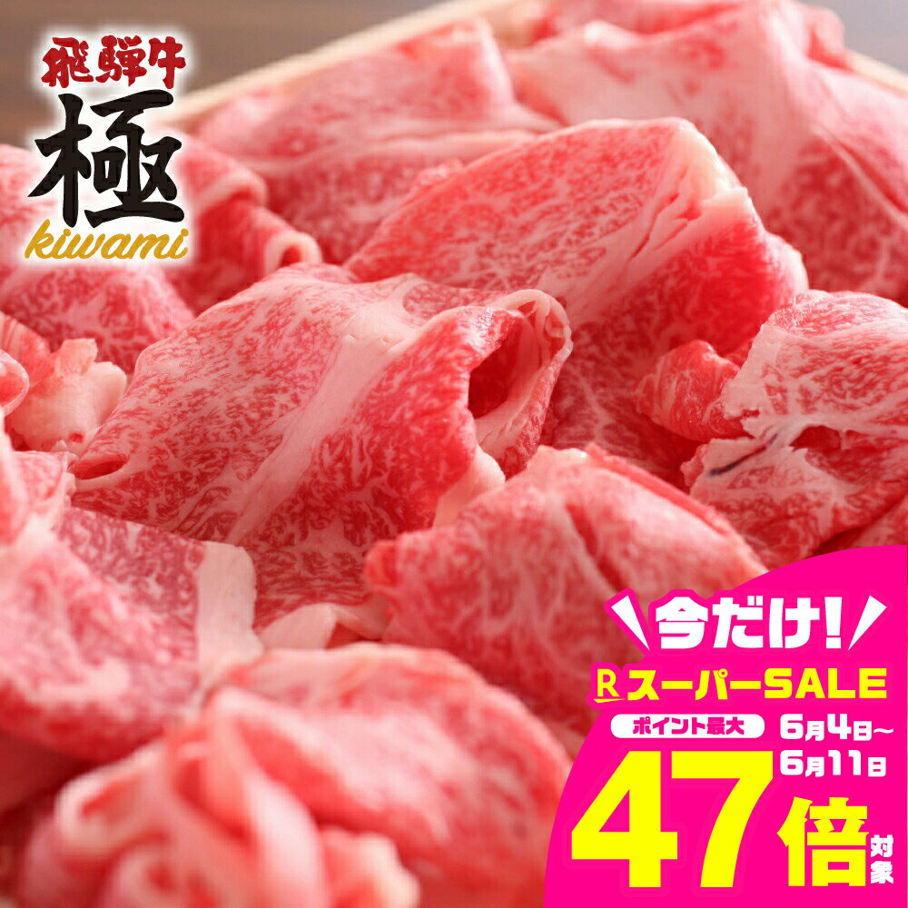 【ふるさと納税】飛騨牛 切り落とし 飛騨市推奨特産品 飛騨牛　ちょっとリッチな切落し1kg 訳あり 訳アリ わけあり ワケアリ コロナ 事業者応援 切り落とし 牛肉 和牛 肉 お歳暮[Q1641］ 30000円 3万円 1月 2月 3月 年明け
