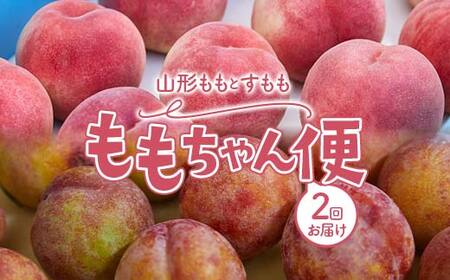 《先行予約 2026年発送》山形 ももとすももの ももちゃん便 FSY-2453