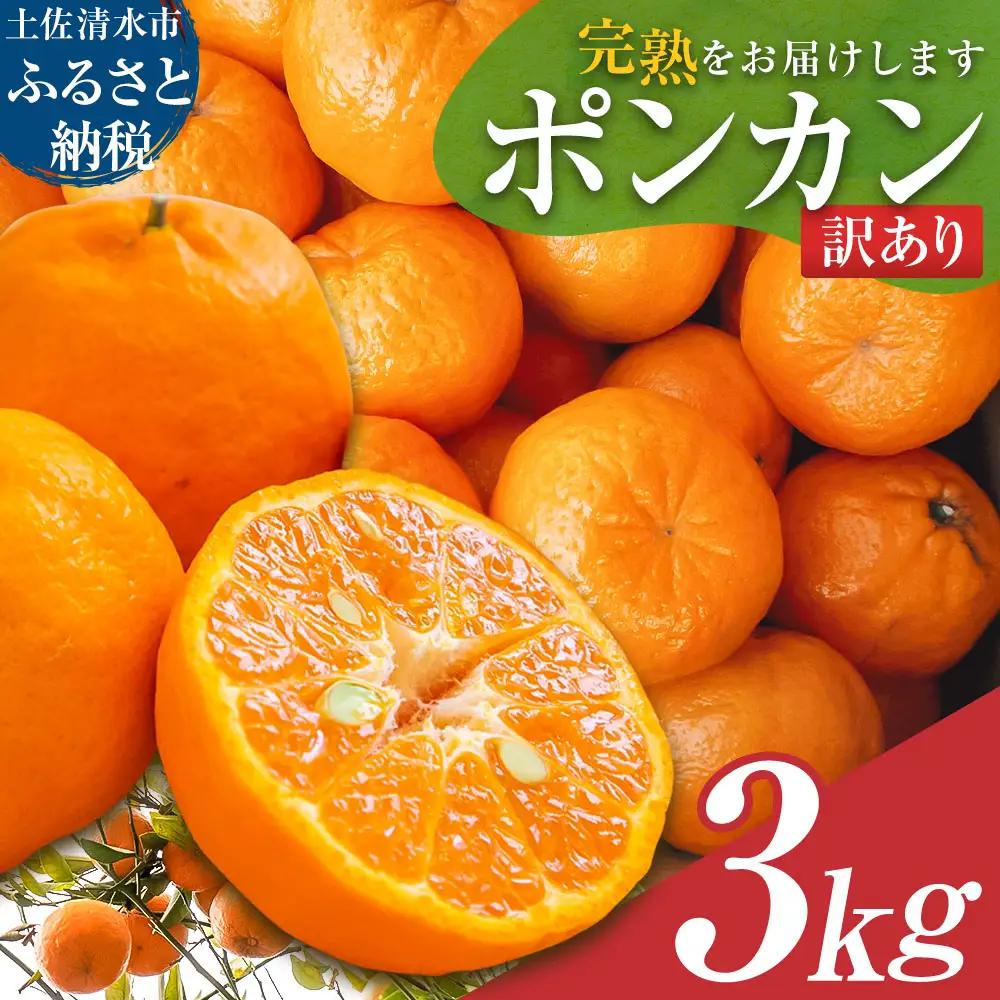ぽんかん 3kg ポンカン 令和9年1月下旬以降発送 訳あり 柑橘【ぽんかん】【R01497】