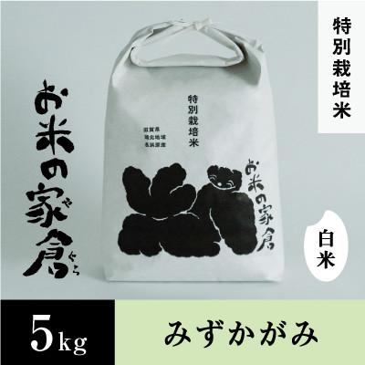 ふるさと納税 長浜市 【新米:令和7年産】滋賀県長浜市　しっかり粒感!ここだけの味わい　みずかがみ　5K白米