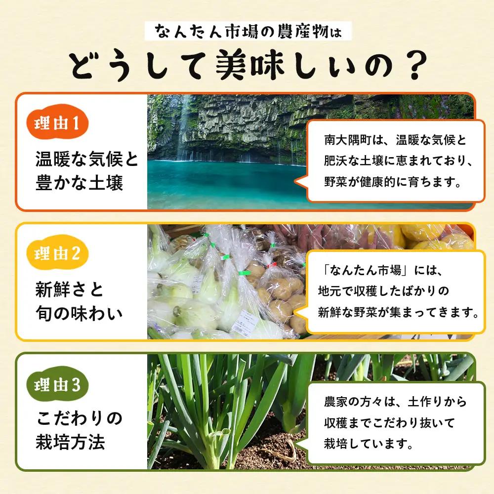 【規格外】本土最南端から 旬のお試し 野菜セット 8品目以上 NI-2 ｜ 旬 野菜 やさい 果物 くだもの 産地直送 農産物 冷蔵 鹿児島県 南大隅町産 詰合せ おまかせ 家庭用 訳あり なんたん市