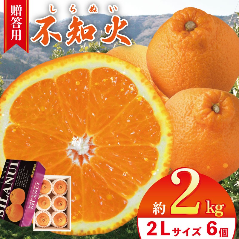 
                  不知火  約2kg 2Lサイズ 6個 【 2026年3月発送予定 】 贈答用 しらぬい 柑橘 みかん オレンジ フルーツ 果物 甘い スイーツ ギフト 送料無料 徳島県 吉野川市 山下農園
                