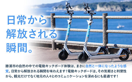 BIRD 電動キックボード 9時間 ライド 無料 ギフトコード 株式会社 Mobilco《90日以内に出荷予定(土日祝除く)》千葉県 勝浦市 電動キックボード 送料無料