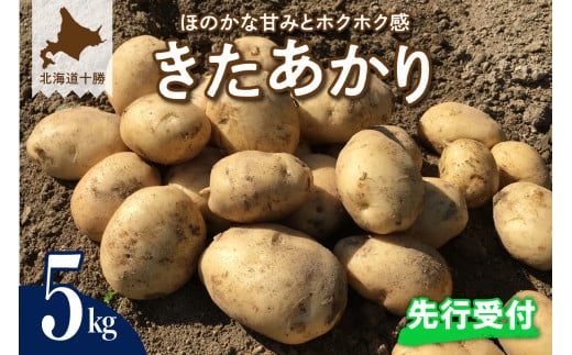 【先行受付】【2025年9月下旬より配送予定】北海道十勝芽室町 きたあかり5kg me002-003-24c