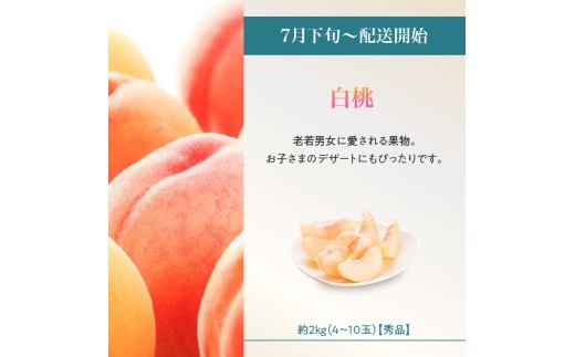 ≪先行受付≫ 山形からおすすめフルーツ定期便【定期便全4回】