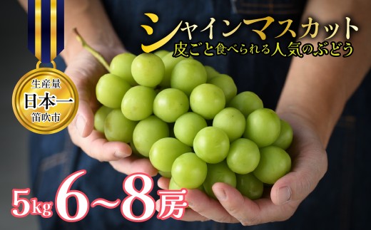 【2026年発送★先行予約】山梨県笛吹市産 シャインマスカット 約5kg 6～8房 皮ごと食べられる人気のぶどう 262-012-26y