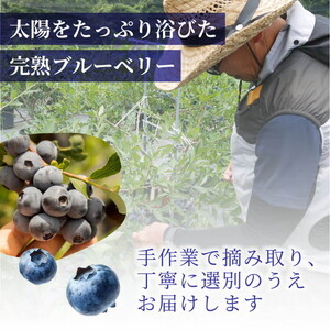 【数量＆期間限定】国産大粒ブルーベリー　100g×12パック入り ※2025年6月中旬～8月中旬に順次発送予定 ※北海道・沖縄・離島への配送不可