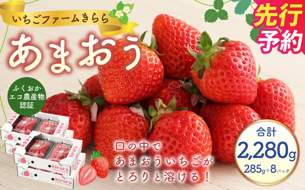 
                  あまおう 約2280g 約285g×8パック いちごファームきらら いちご イチゴ 苺【ふくおかエコ農産物認証】【2027年2月上旬-3月下旬発送予定】
                