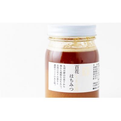 ふるさと納税 うきは市 上村養蜂場 国産100%純粋百花蜂蜜 大瓶 600g |  | 02